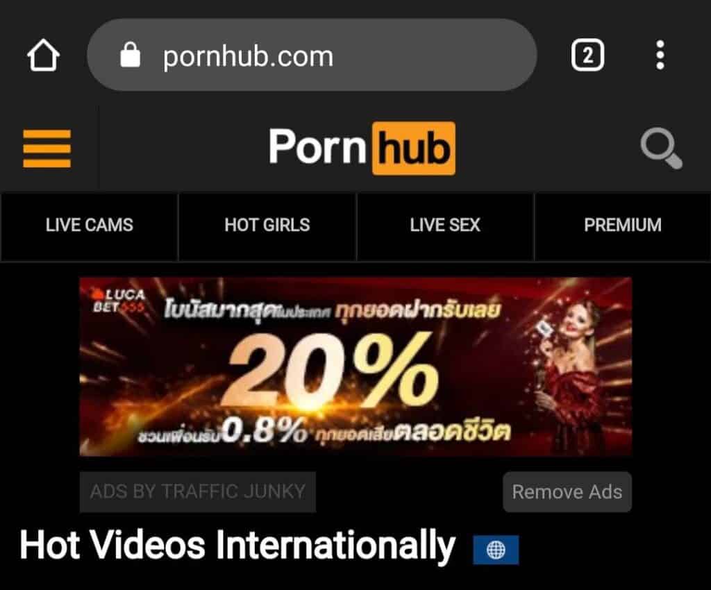 สอนเข้าเว็บ Porn hub