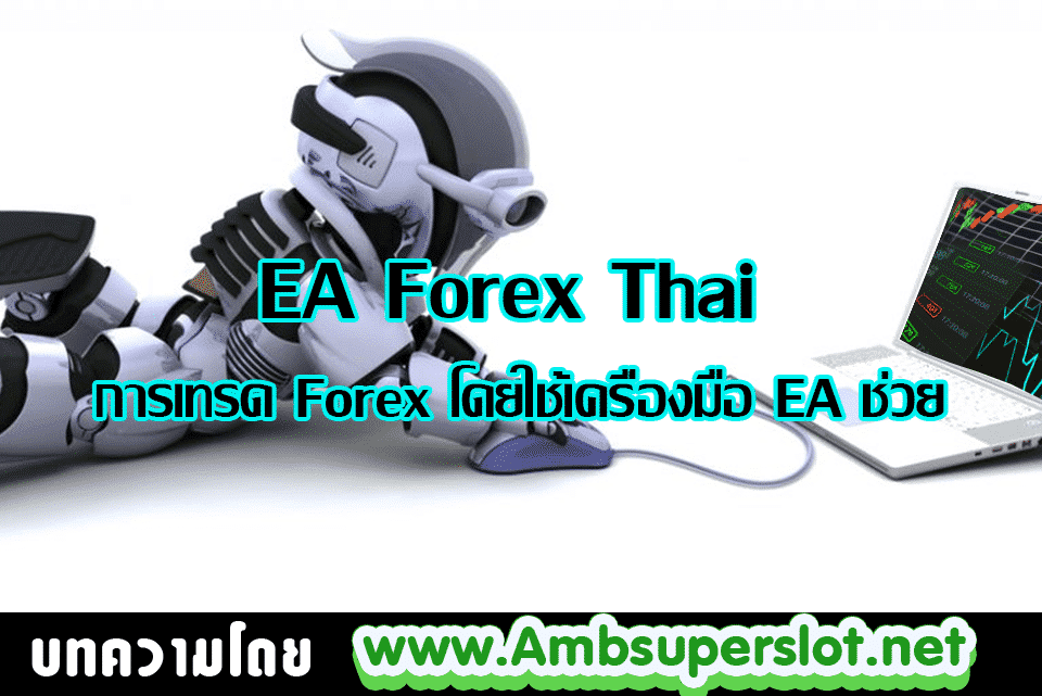 EA Forex Thai