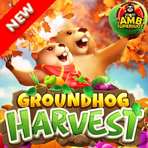 Groundhog-Harvest