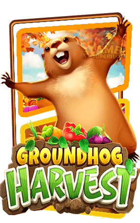 ปก-Groundhog-Harvest