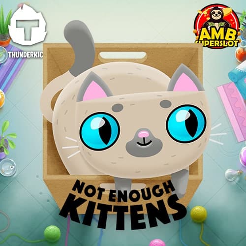 Not-Enough-Kittens